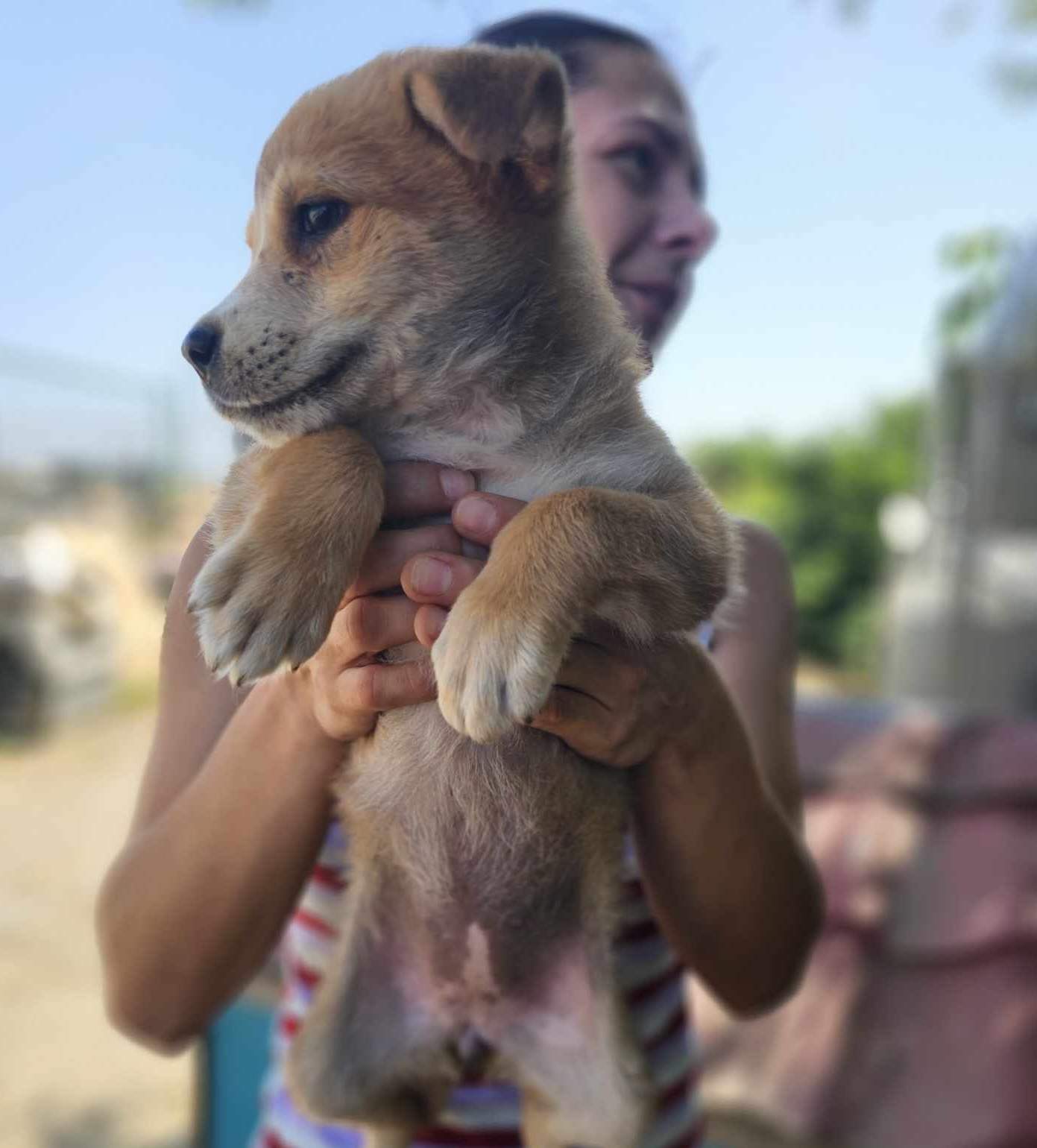 Winona (FA 🇫🇷)